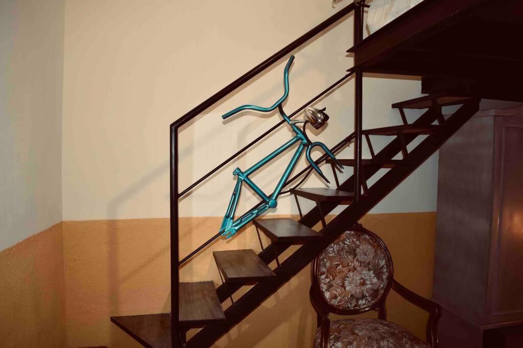 Apartment Bed & Bike Loft