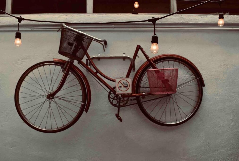Apartment Bed & Bike Loft